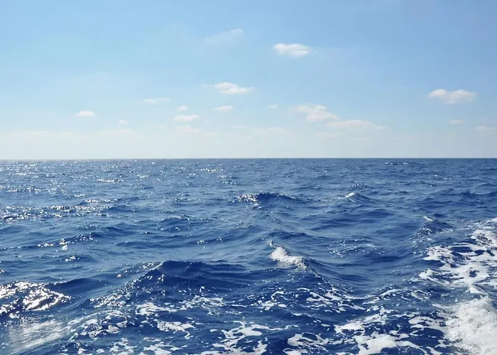 Apartment Large 2bd Near The *